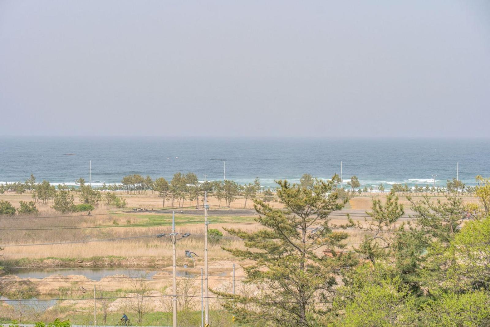 Zio Pinetree Hotel ยางยาง ภายนอก รูปภาพ